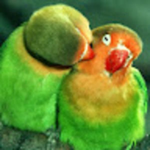 Meet your Posher, Rumana